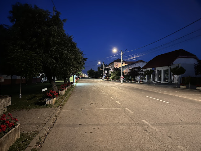 Opinii despre Adeladan SRL în Recaș - Gastronomie și ospitalitate