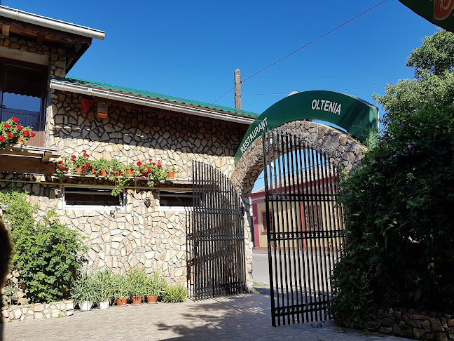 Restaurant Oltenia - Gastronomie și ospitalitate