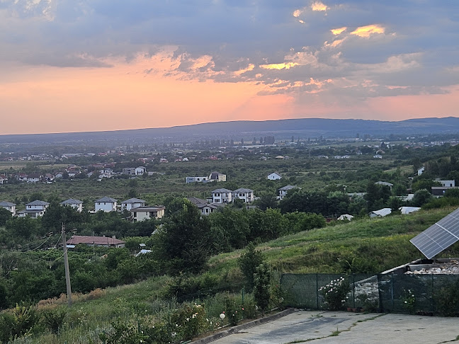 Evergreen - Valea Voievozilor