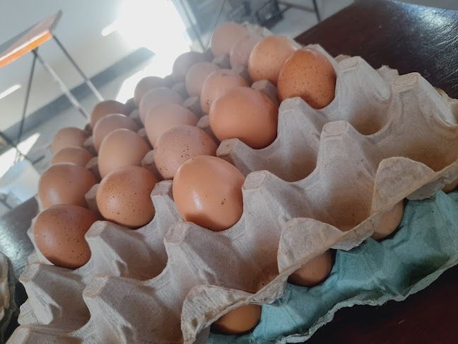 Opinii despre Piaţa Agroalimentară în Cavnic - Gastronomie și ospitalitate