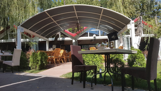 Blue Aqua - Gastronomie și ospitalitate