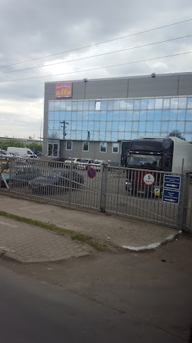 Strada Cartierului 12, Chitila 077045