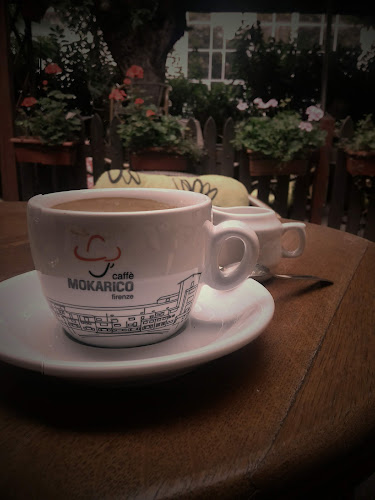 Strada Episcopiei 21, Arad