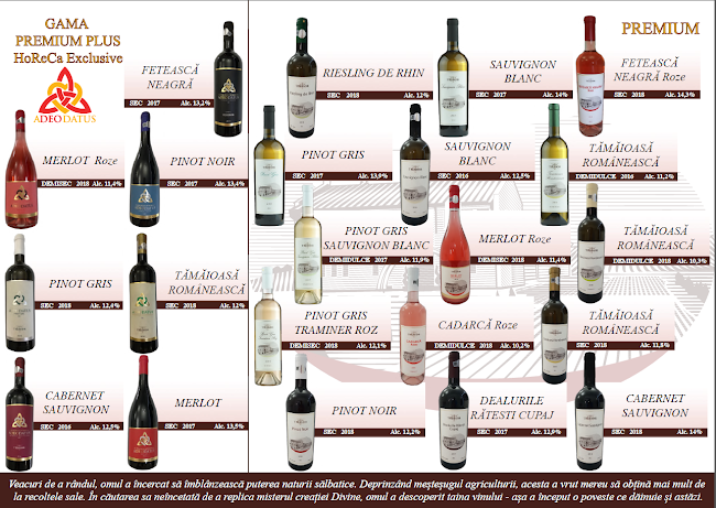 Bulevardul Octavian Goga 1, Satu Mare 440229