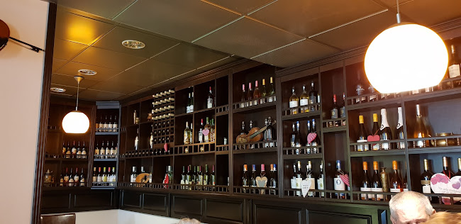 Comentarii opinii despre Viena