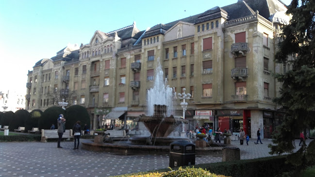 Restaurant Timișoreana - Gastronomie și ospitalitate