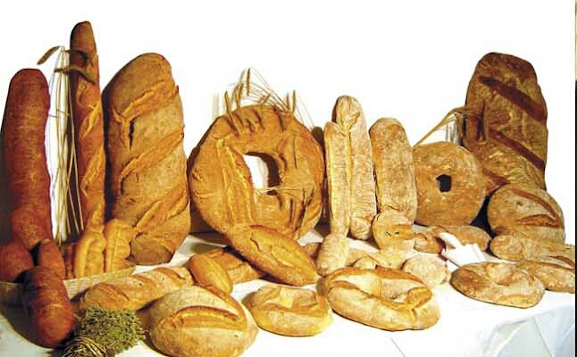 Comentarii opinii despre panifin