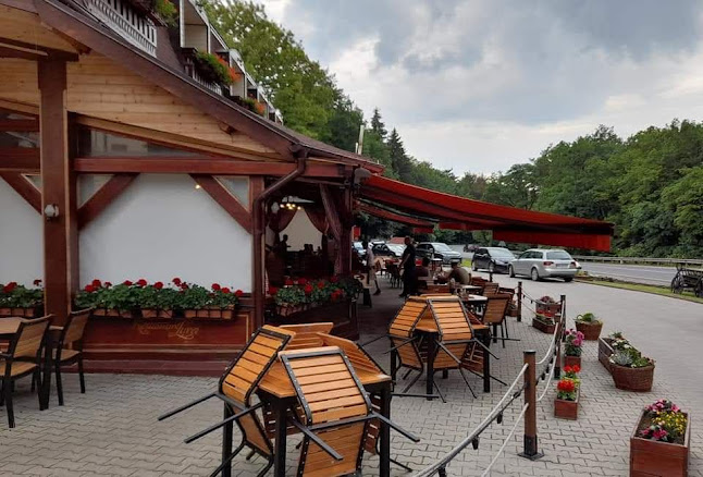 Comentarii opinii despre Restaurant Pensiune Lyra | mâncare tradițională, preparate bbq, livrare mures, restaurant mures