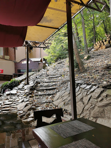 Comentarii opinii despre Restaurant Perla Oltului