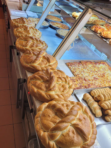 Bulevardul Regele Carol I 10, Timișoara 300176