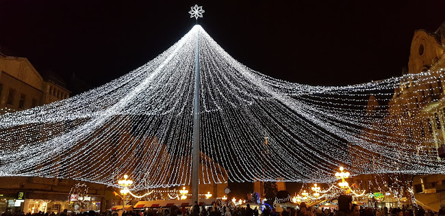 Restaurant Timișoreana