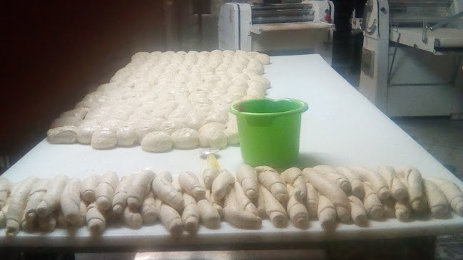 SC CARA PRODIMPEX SRL - Arad