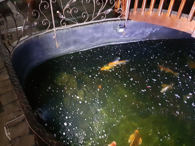 Pizza Adriano - Brăila