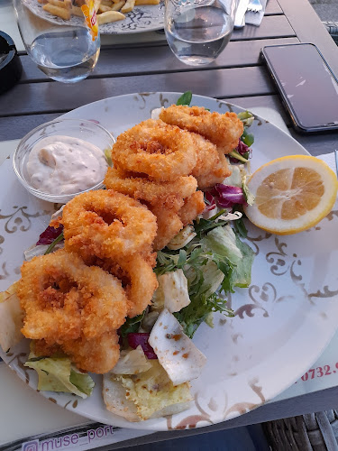 Comentarii opinii despre Muse Port