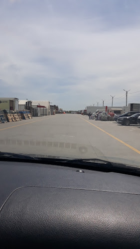 Comentarii opinii despre TARG DE LEGUME, FRUCTE SI FLORI