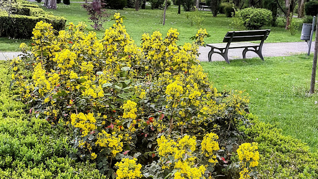 Strada Mihai Eminescu 1E, Năsăud 425200