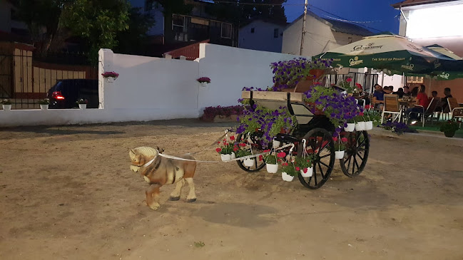 Strada Roșiorilor 206, Brăila 817181