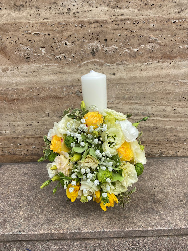 Opinii despre MaJolie în Ploiești - Gastronomie și ospitalitate