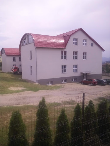 Str. Barajului nr 216, Călinești-Oaș 447070