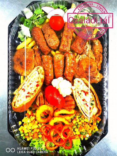 RESTAURANT--TULIT--VENDÉGLŐ - Gastronomie și ospitalitate