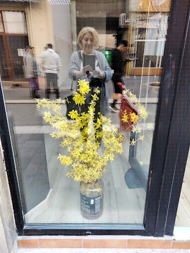 Piața Catedralei - Arad