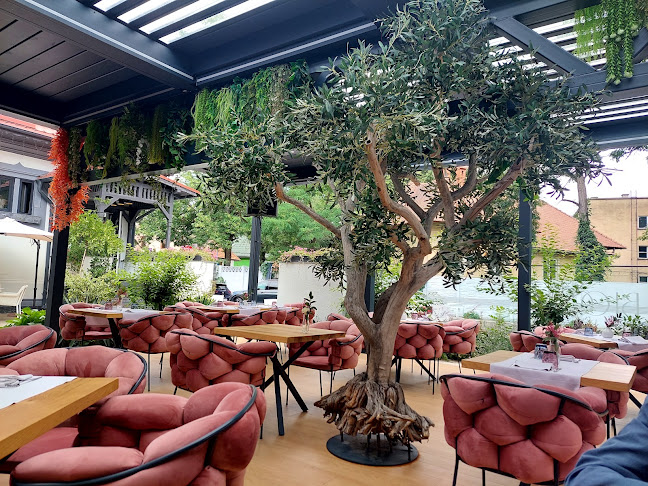 Strada Doctor Alexandru Davila NR. 5, Brașov 500074