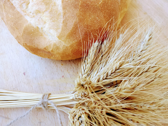 Brutaria Andor Pan - Gastronomie și ospitalitate