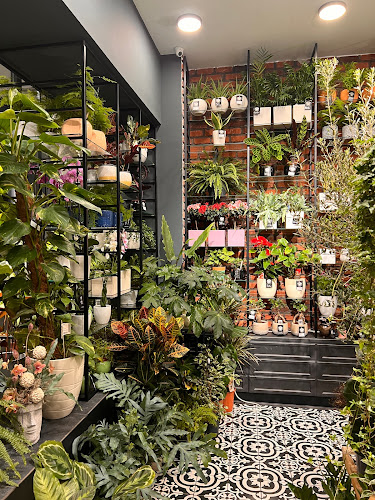 Piața Agroalimentară Zorilor - Cluj-Napoca