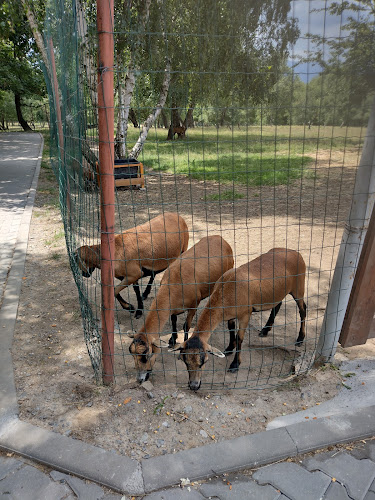 Black Box - Gastronomie și ospitalitate