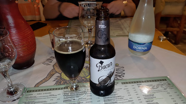 Comentarii opinii despre Șura Dacilor