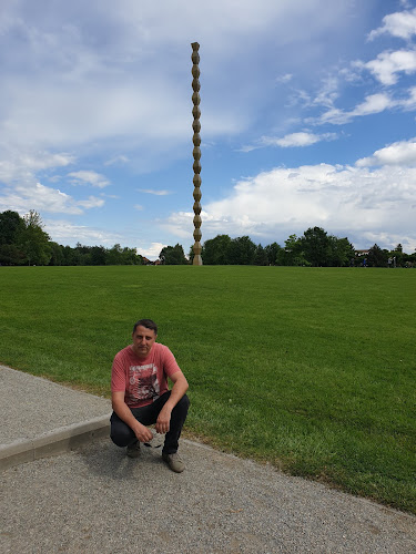 Vechiul Conac - Gastronomie și ospitalitate