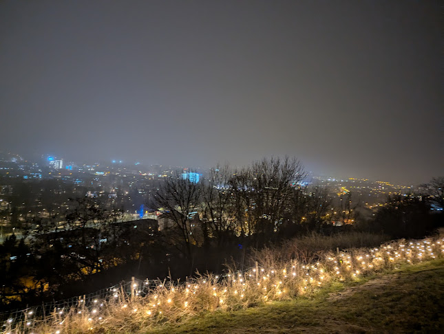 Strada Șerpuitoare 1, Cluj-Napoca 400168