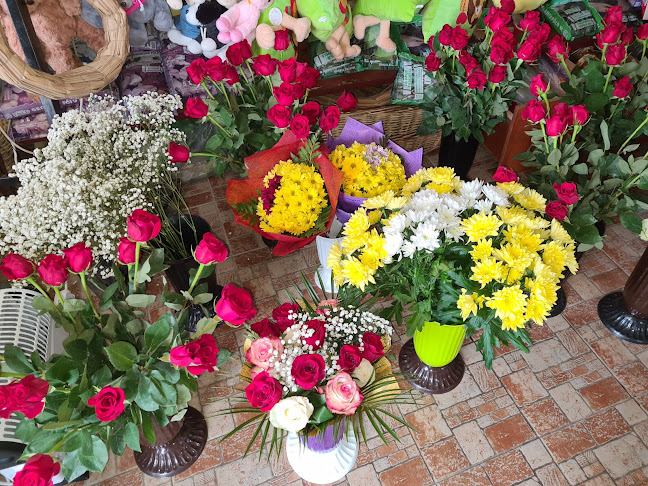 Opinii despre Florăria Tao-Tao în Snagov - Gastronomie și ospitalitate