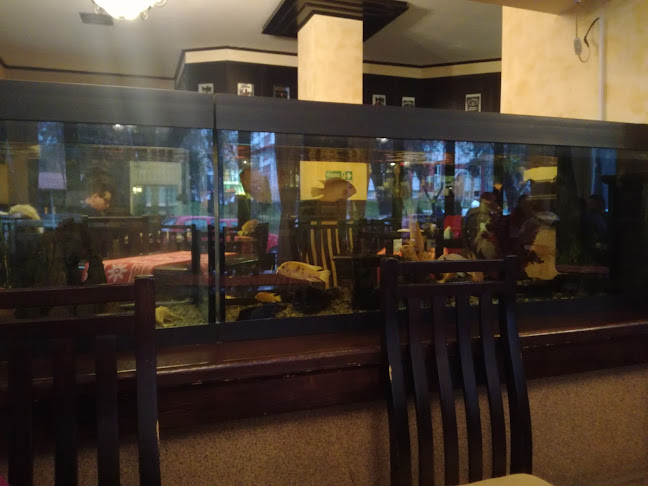 No Comment - Curtea de Argeș