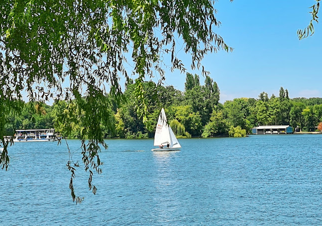 Hanul Vlasiei Snagov - Gastronomie și ospitalitate