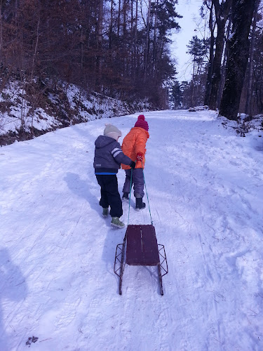 Comentarii opinii despre Mocanu Comind -