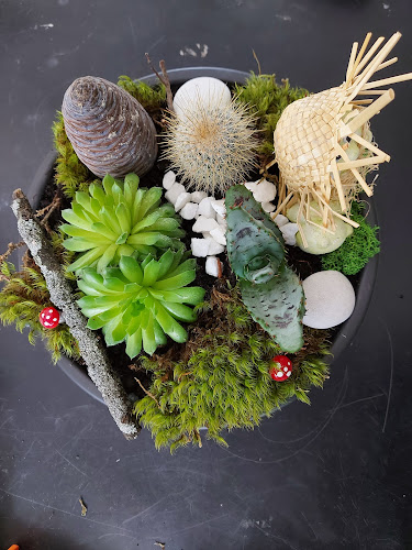 Comentarii opinii despre KATYA FLORARIE SI CADOURI FOCSANI, PIATA UNIRIII