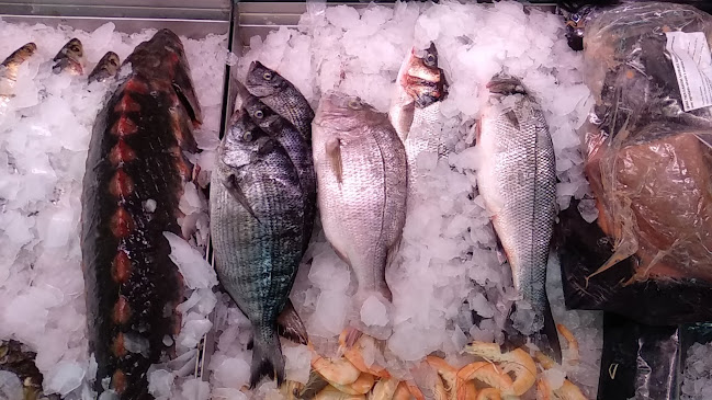 Comentarii opinii despre Solzi