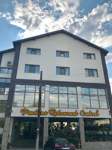 Opinii despre Pensiune Restaurant Central Podari în Podari - Gastronomie și ospitalitate