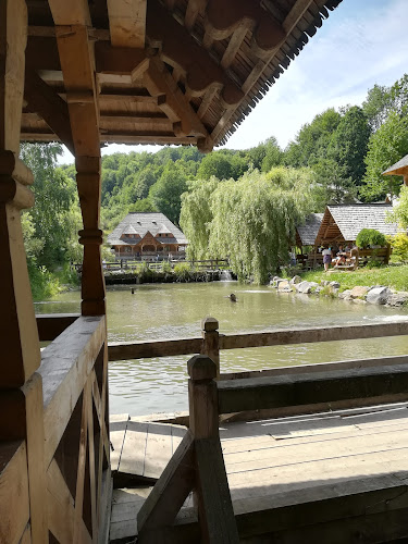 Strada Principală nr. 89, Mara 437137