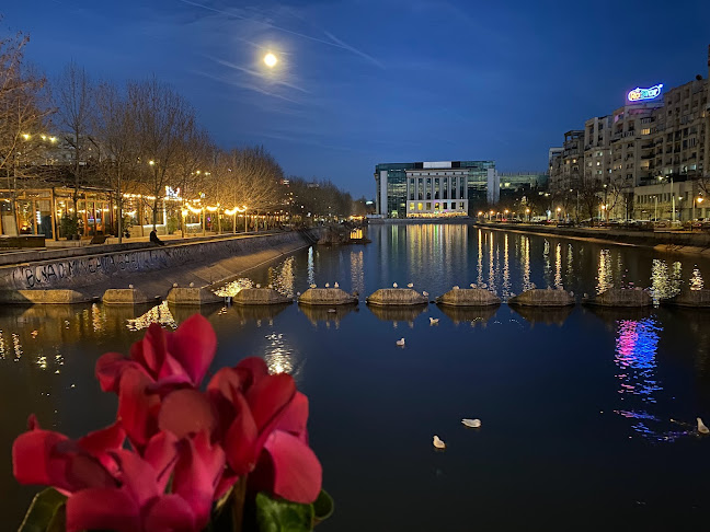 RISTORANTE MONZA - Gastronomie și ospitalitate