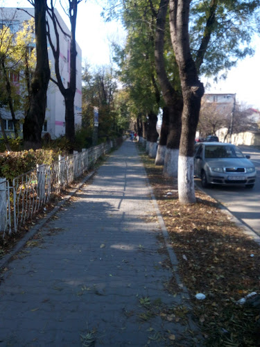 Șoseaua Alexandriei 8, Giurgiu