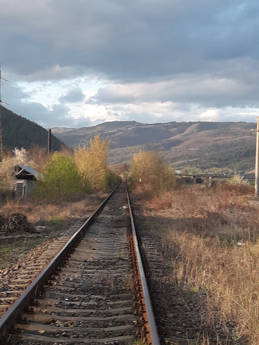 Strada Alexandru cel Bun 21, Câmpulung 115100