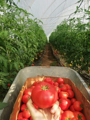 Opinii despre Livada Din Vale în Zalău - Gastronomie și ospitalitate