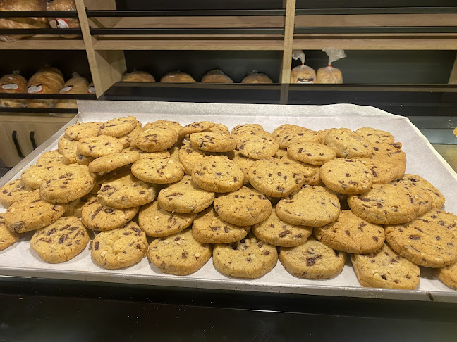 Comentarii opinii despre Pankó Prod S.R.L.