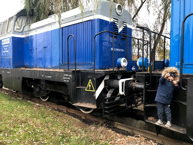 Comentarii opinii despre Popasul Drumetului DN 10