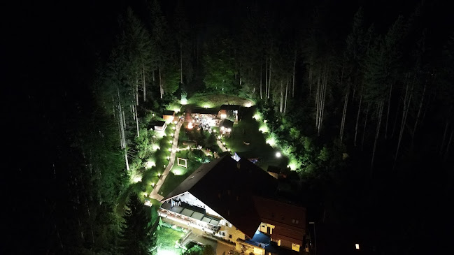 Restaurant Vânătorul - Gastronomie și ospitalitate