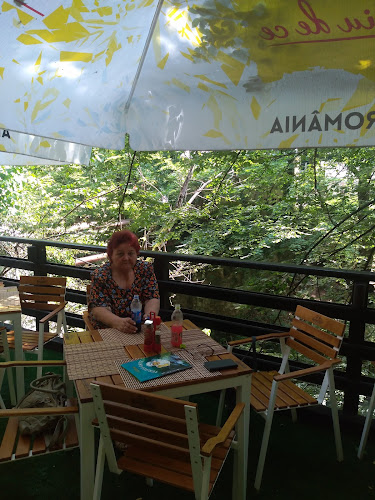 Terasa Baitz - Gastronomie și ospitalitate