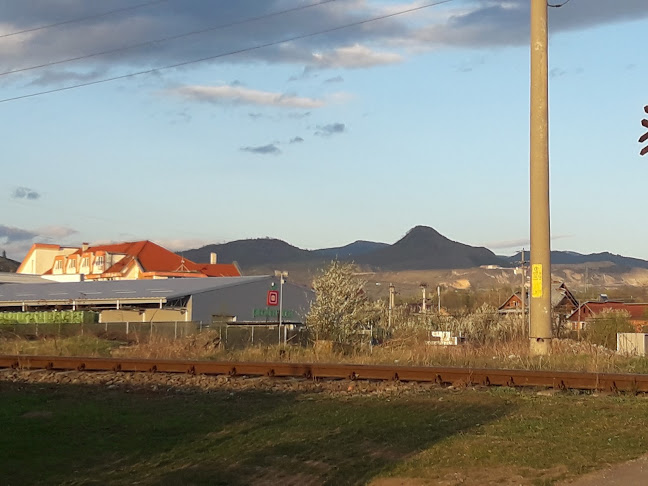 Opinii despre Profructta în Câmpulung - Gastronomie și ospitalitate