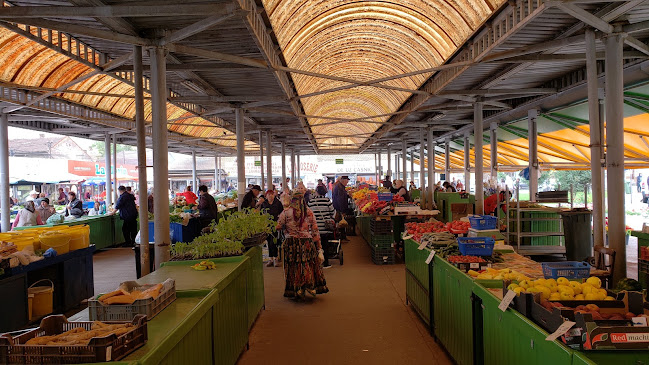 Strada Academia Teologică, Arad